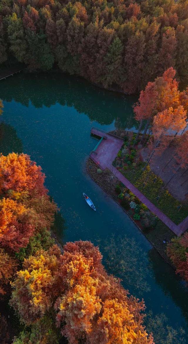 开园即出圈！新建横沔公园开放半个月，单日游客量最高近1万，魅力到底在哪儿