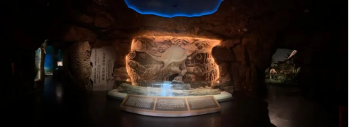 这个冬天，猫在巴彦淖尔才是幸福事