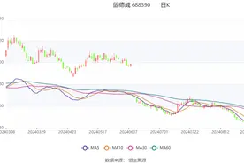 固德威：2024年上半年亏损2383.06万元图片
