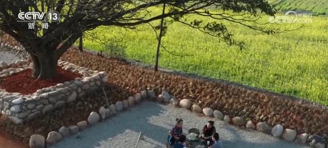 “影视+”多元跨界融合借“风”而为、顺“风”而上激活文旅“大市场”