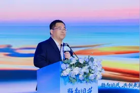 “连接+算力”双轮驱动，谢峻石畅谈中兴数智化转型之路图片