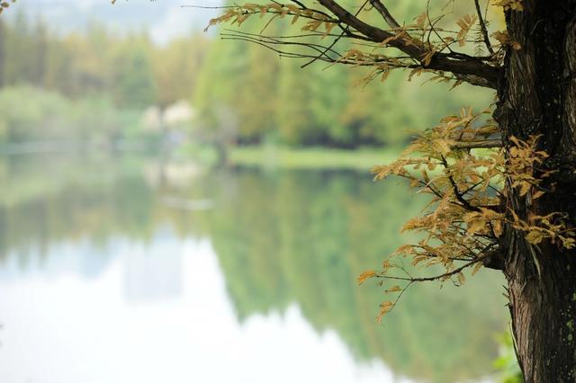 贵阳：花溪十里河滩深秋景色美