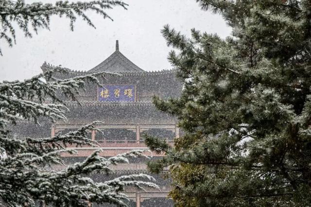 烟台、威海出圈了！网友：“这就是‘雪窝子’的含金量”