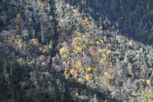 【丽江分享】老君山九十九龙潭冬日“限定美景”已上线