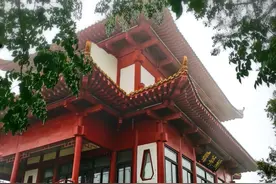 久违的雨来了，滋润着花草万物图片