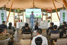 信阳毛尖啤酒、奶茶、茶食品…… 一大拨信阳毛尖文创产品来了图片