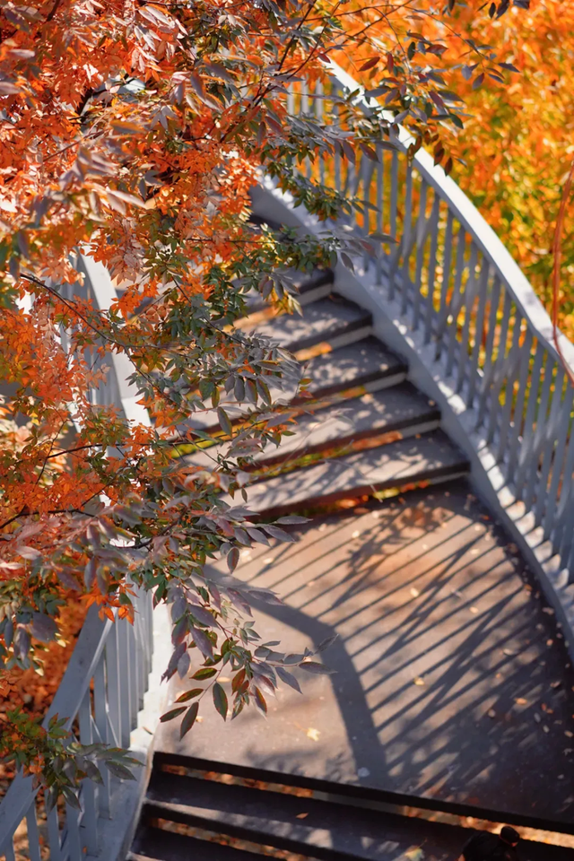 网红纷纷奔赴这！上海这座通往 “欧洲城堡” 的绝美旋梯火了！