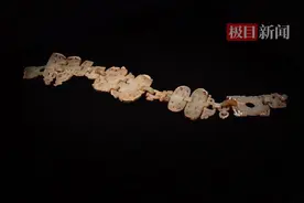 中国最早的“龙” “中华第一龙” “长江流域第一龙”……迎甲辰龙年，一起来找龙图片