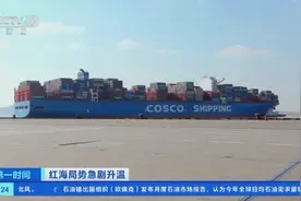 运输成本增加，多家国际航运企业陆续上涨红海航线运费图片