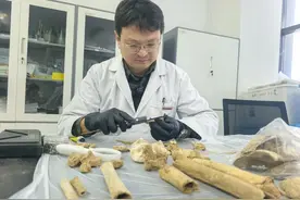 青岛故事丨5000多年前山东人就睡平头！跨越千年，山东大学教授赵永生通过人骨研究揭示中原与山东地区人群交流图片