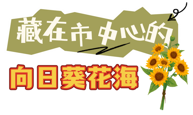 常州，又开始涨“粉”了！