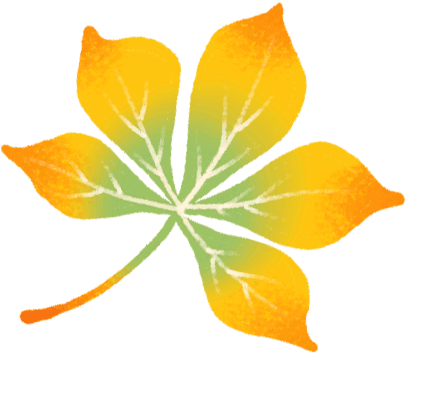 风一吹，索河路就成了金色的世界