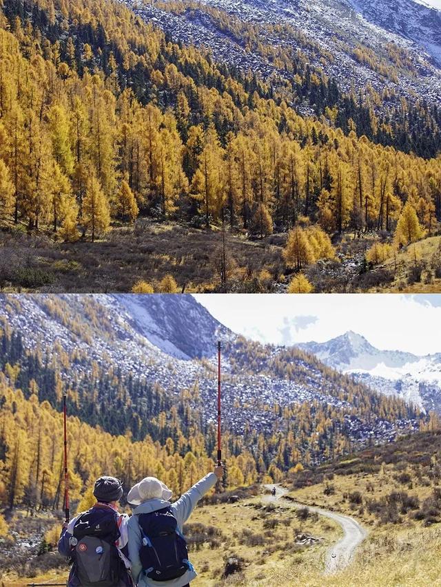 美上央视的秋景，这十条路线请你选！