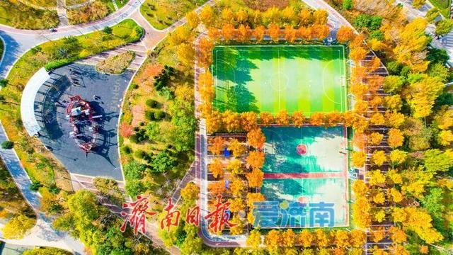 一年四季 泉在济南丨落叶铺锦景如画 济南望岳康体公园初冬限定美景上线