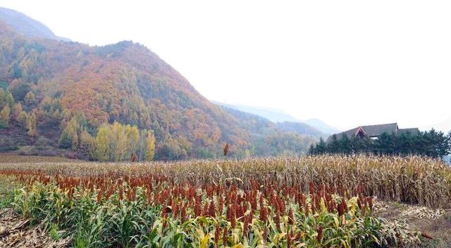 省媒看白山 | 吉林日报：走走停停，G331一路美景一路歌