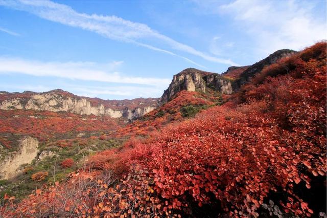 周末天气晴好，徒步去→