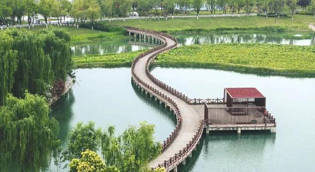 园林城市 绿意生活 | 这条绿色游径太美了！
