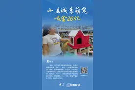记者蹲点丨传统产业沃土育新苗，曹县靠萌宠吸金26亿图片