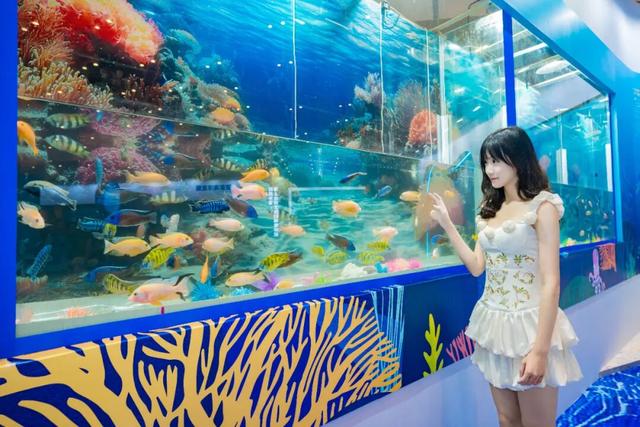 好逛！好玩！12月26日开幕→