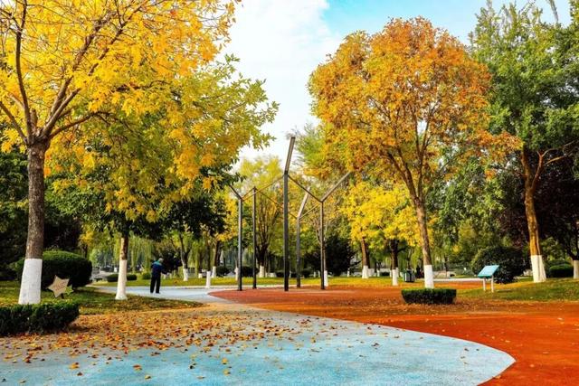 今日立冬！三个仪式解锁肥城初冬的终极浪漫！