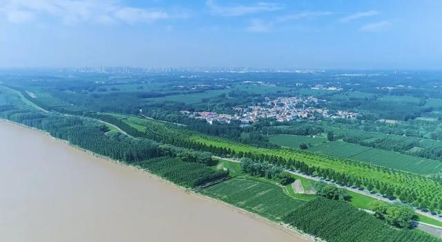 当黄河遇上盛夏：济阳版“独库公路”