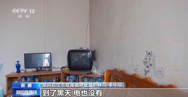 你在胡杨林下载歌载舞 他们在守护这些“沙漠英雄树”