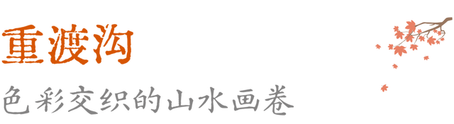 待天晴，看洛阳漫山姹紫嫣红→