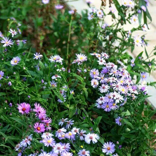 北京朝阳：全龄友好公园+1！