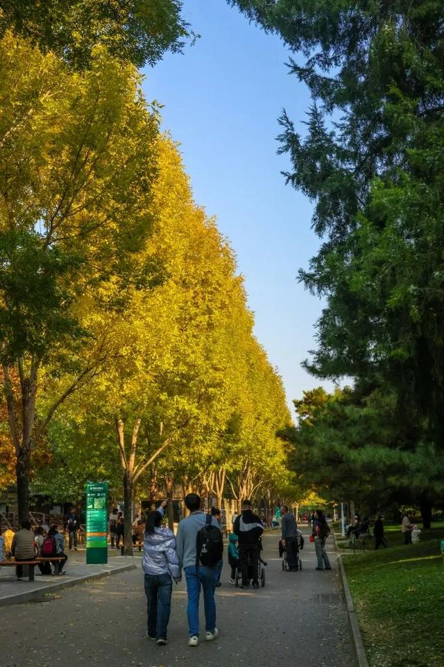 当立冬遇见金秋，北京动物园赏秋打卡攻略
