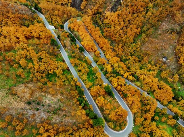 山水画卷如何炼成支柱产业？宣城用358亿给出答案