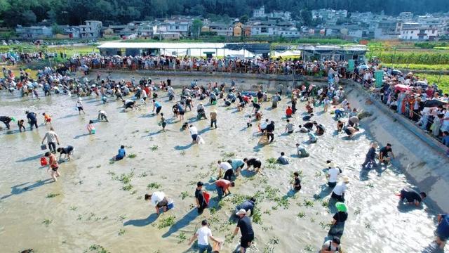 红河文旅周报 | 红河州三县市拟入选首批“旅居云南”高质量发展试点名单