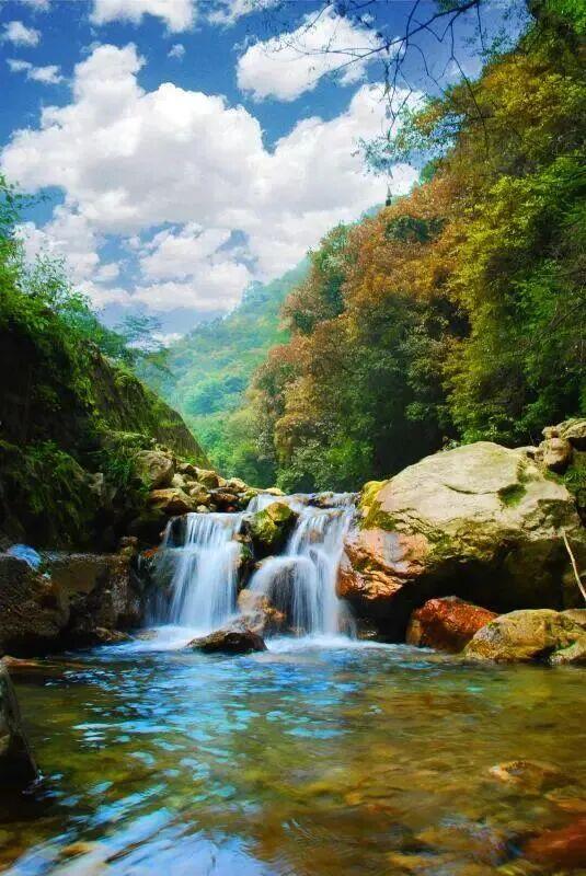 短短短短短……且赏且珍惜