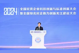 2024全国民营企业科技创新与标准创新大会暨全国知名民企助力创新龙江建设大会在哈尔滨举行图片