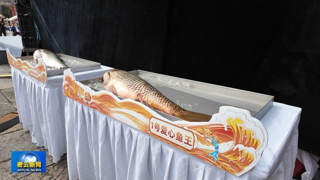 密云水库5条“鱼王”拍出60万