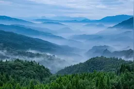年产值56亿！这条赛道峨眉走得很坚定图片