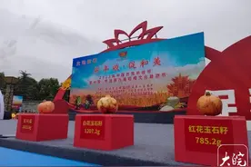 怀远“石榴王”诞生 足足二斤四两多图片