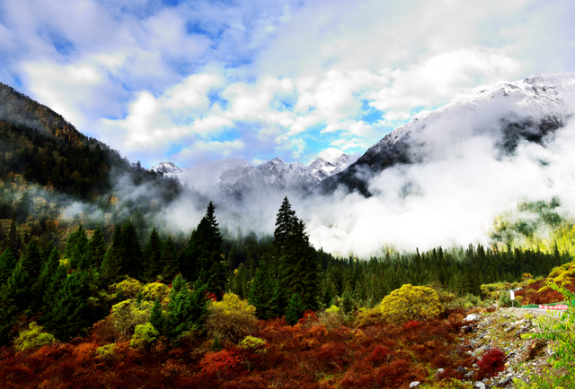 青睐绵阳 ‖ 雪山彩林上线！去平武王朗赴一场金秋视觉盛宴~