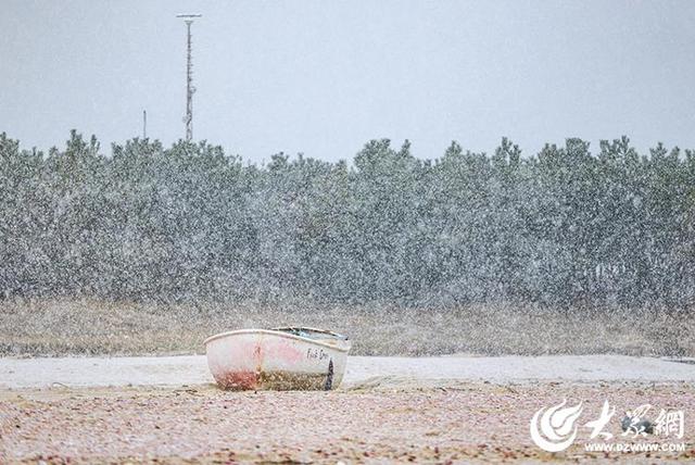 四季予你｜烟台：雪舞海畔，海鸥争涛