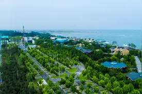 全省首个海洋生态环境保护类EOD试点，日照一项目入选图片