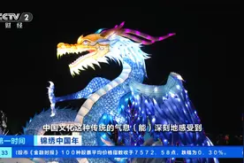 “花灯盛宴”来了！北京新春灯会五彩斑斓，点亮夜空→图片