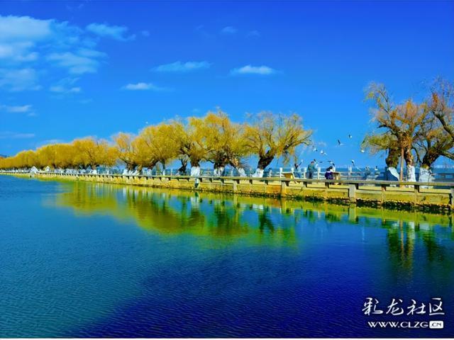 昆明小众人少看滇池喂海鸥的宝藏打卡地