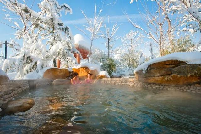 去什么北海道，冬日里的威海不是“平替”，是天花板！