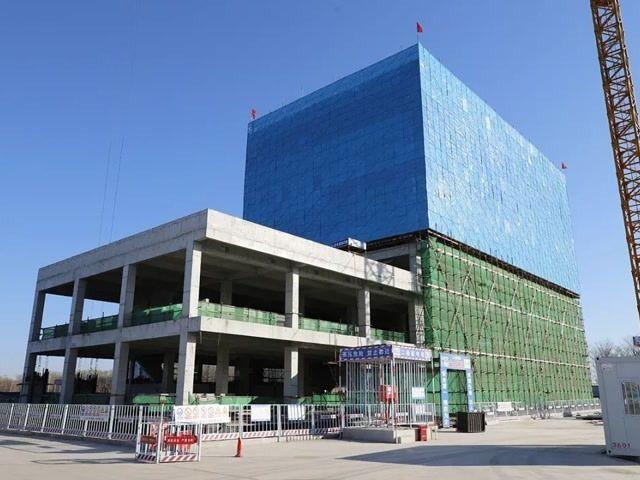 北京号最精彩 | 太惊喜！京城第一波蜡梅开啦！位置就在——