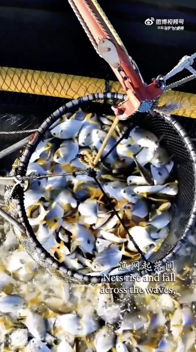 外交部赵立坚微博点赞！湛江的山海藏不住了