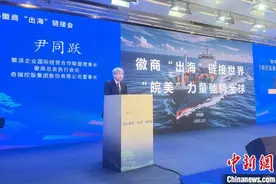 安徽民营企业家谈“出海”：让“无徽不成商”扩至全球图片