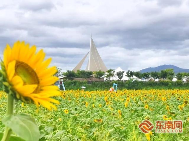 “醉美”九龙沙洲景区 打造农文旅融合典范
