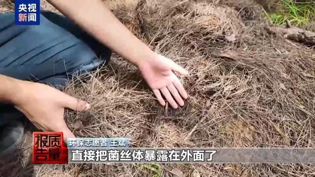 紧急通告：禁止到这一网红地游玩！