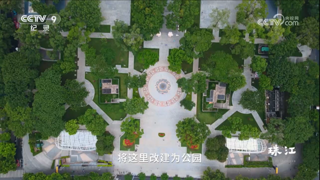 央视热播！就在身边，不少越秀街坊天天见