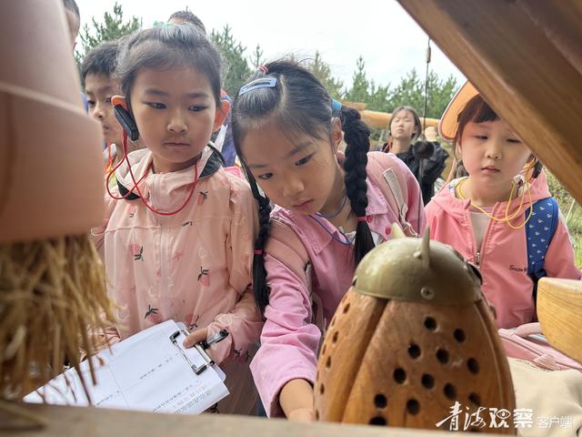 一场别开生面的暑期绿色环保研学之旅