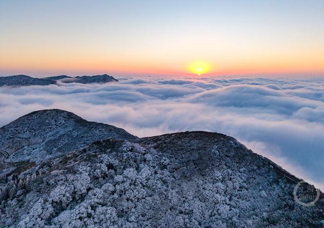 重庆南川：云海与雪景同框，开启冬日仙境模式